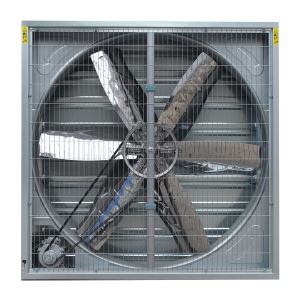 云开体育app网页版:日产-太平洋汽车